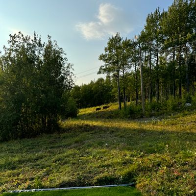 Course photo
