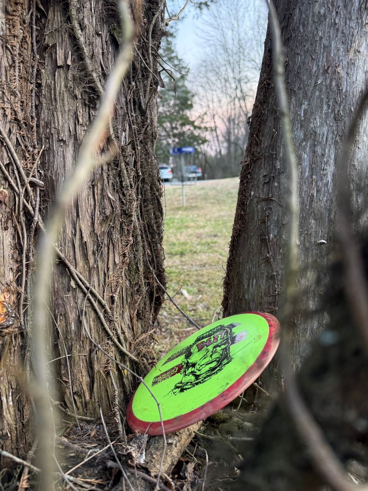 Guardians view in front of basket Hole C
