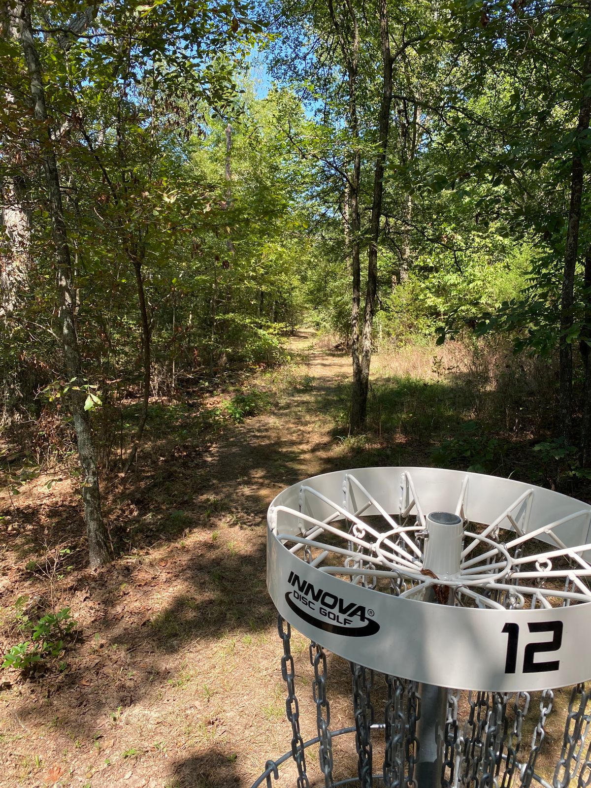 Tee back down tree alley