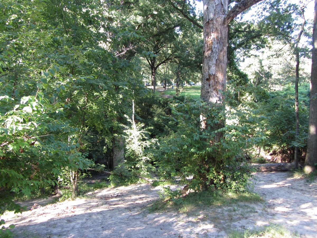 Hole 3