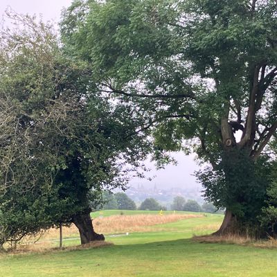 Picturesque views over Oxford spires