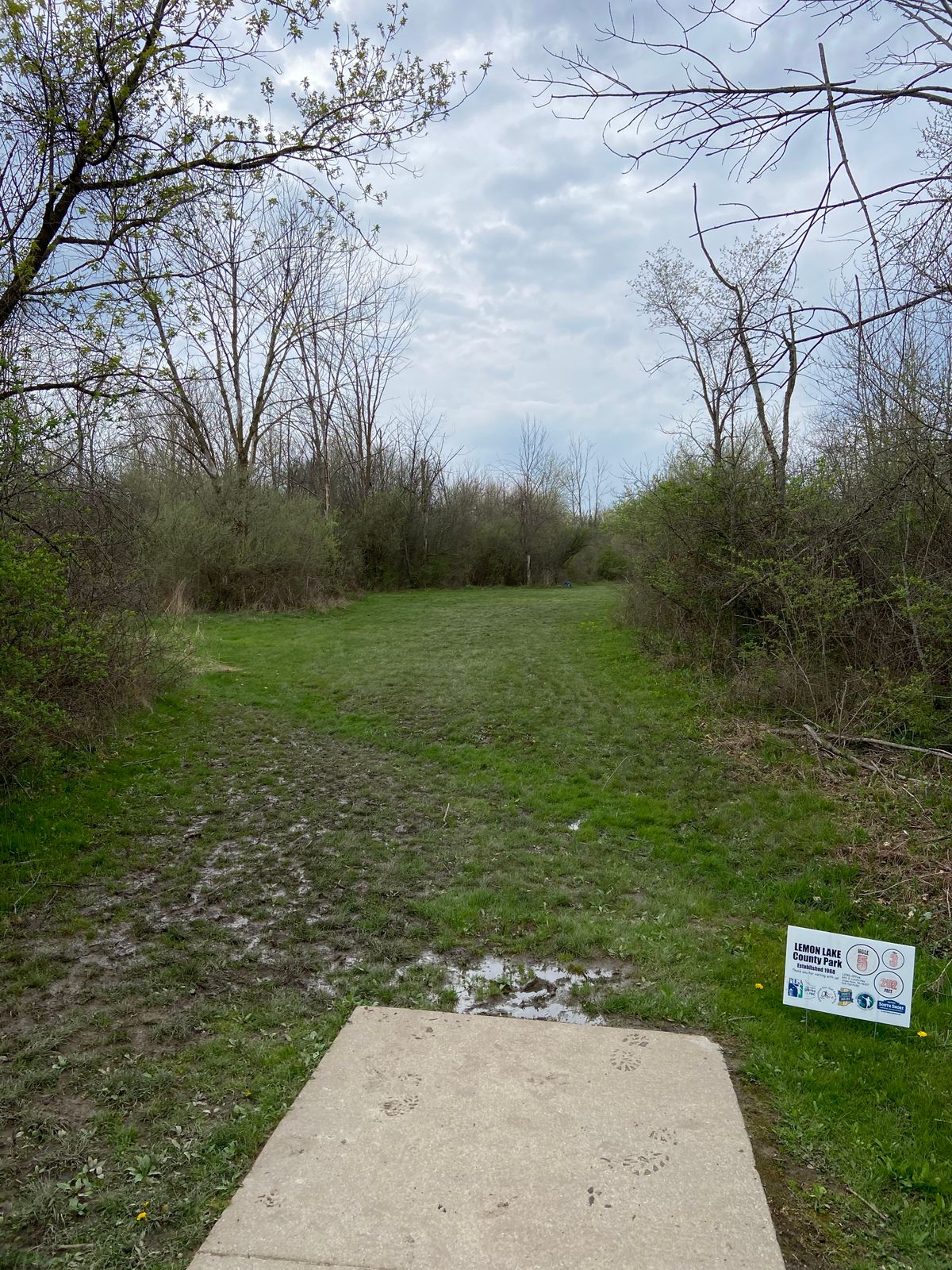 Tee of hole 5. 282 feet.  Shot to the right.