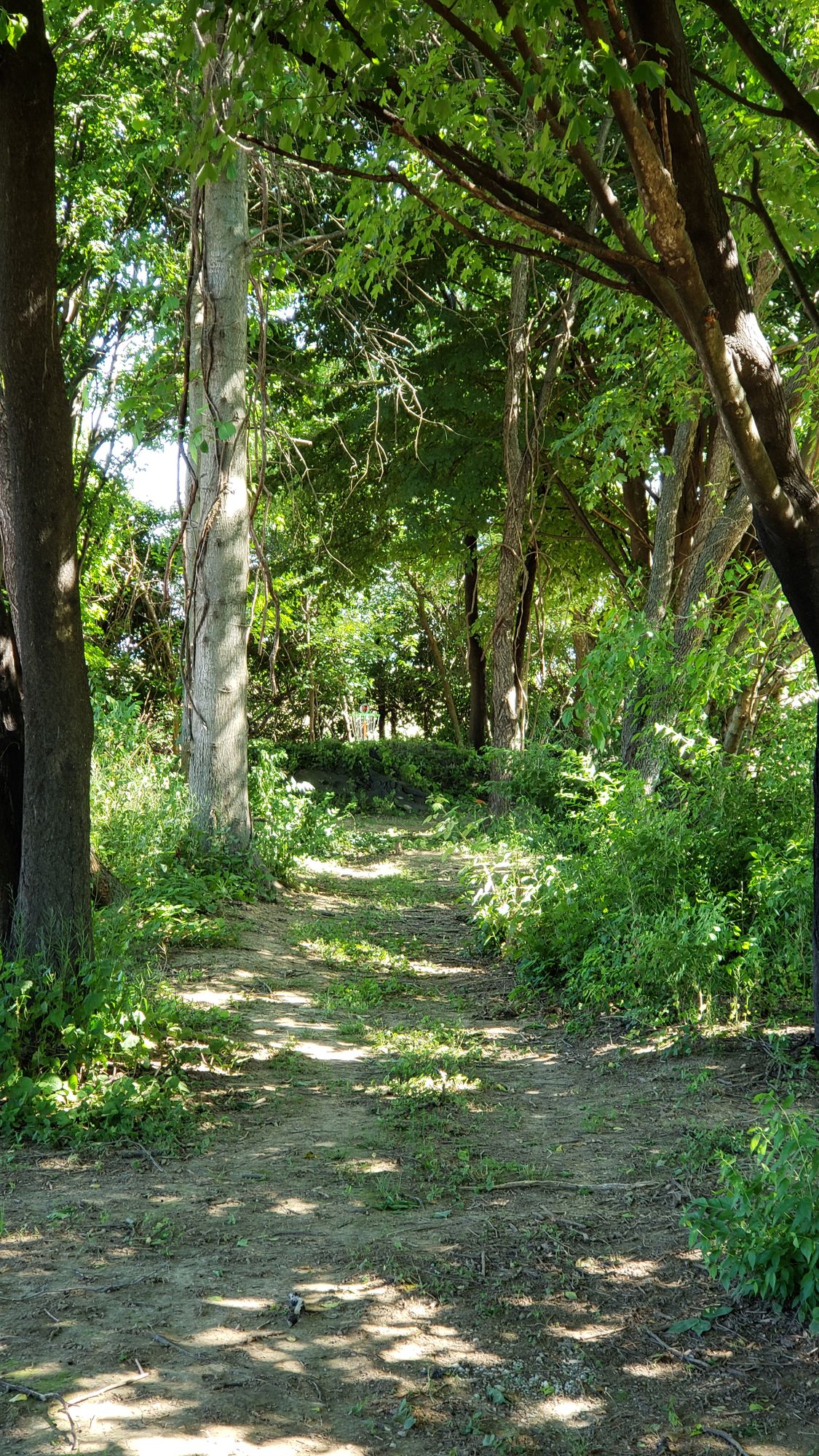 Hole 7 fairway