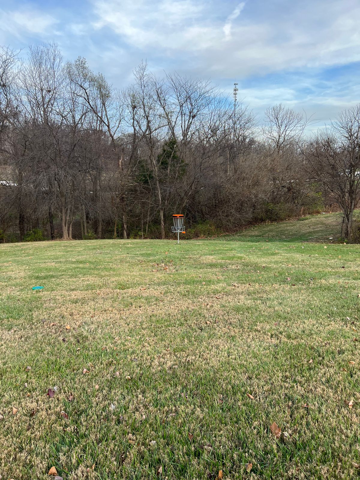 (Black14b) bit straighter and a bit longer than original.