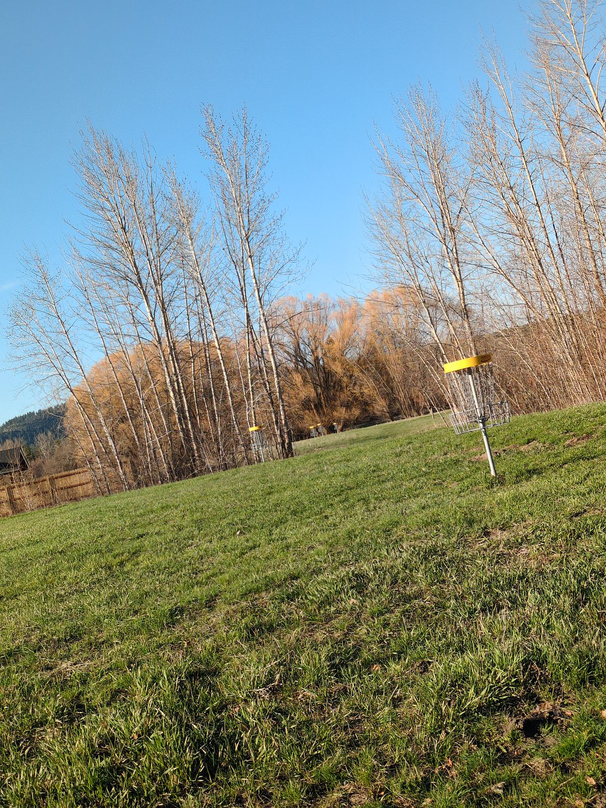 View from road