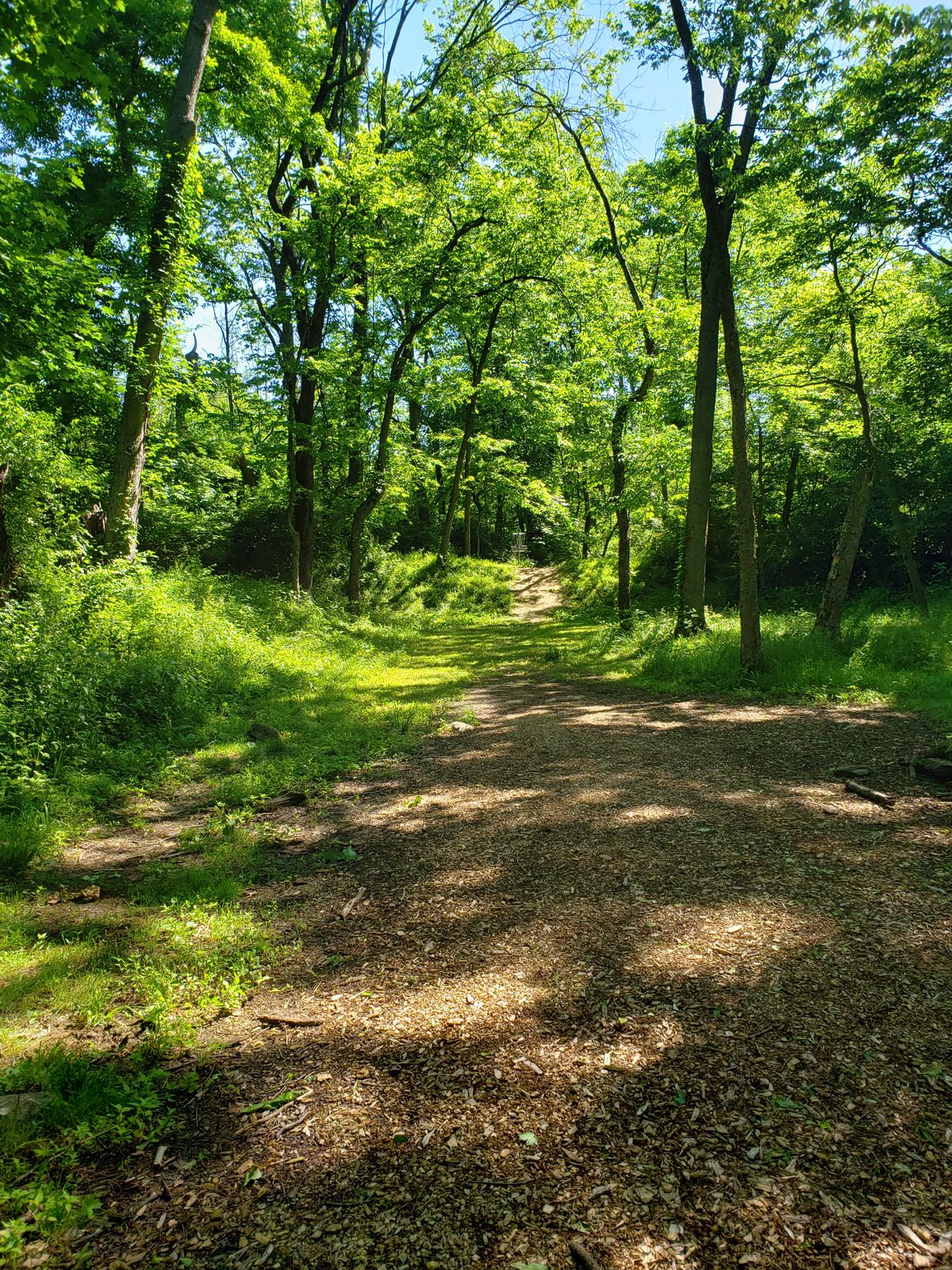 Hole 8