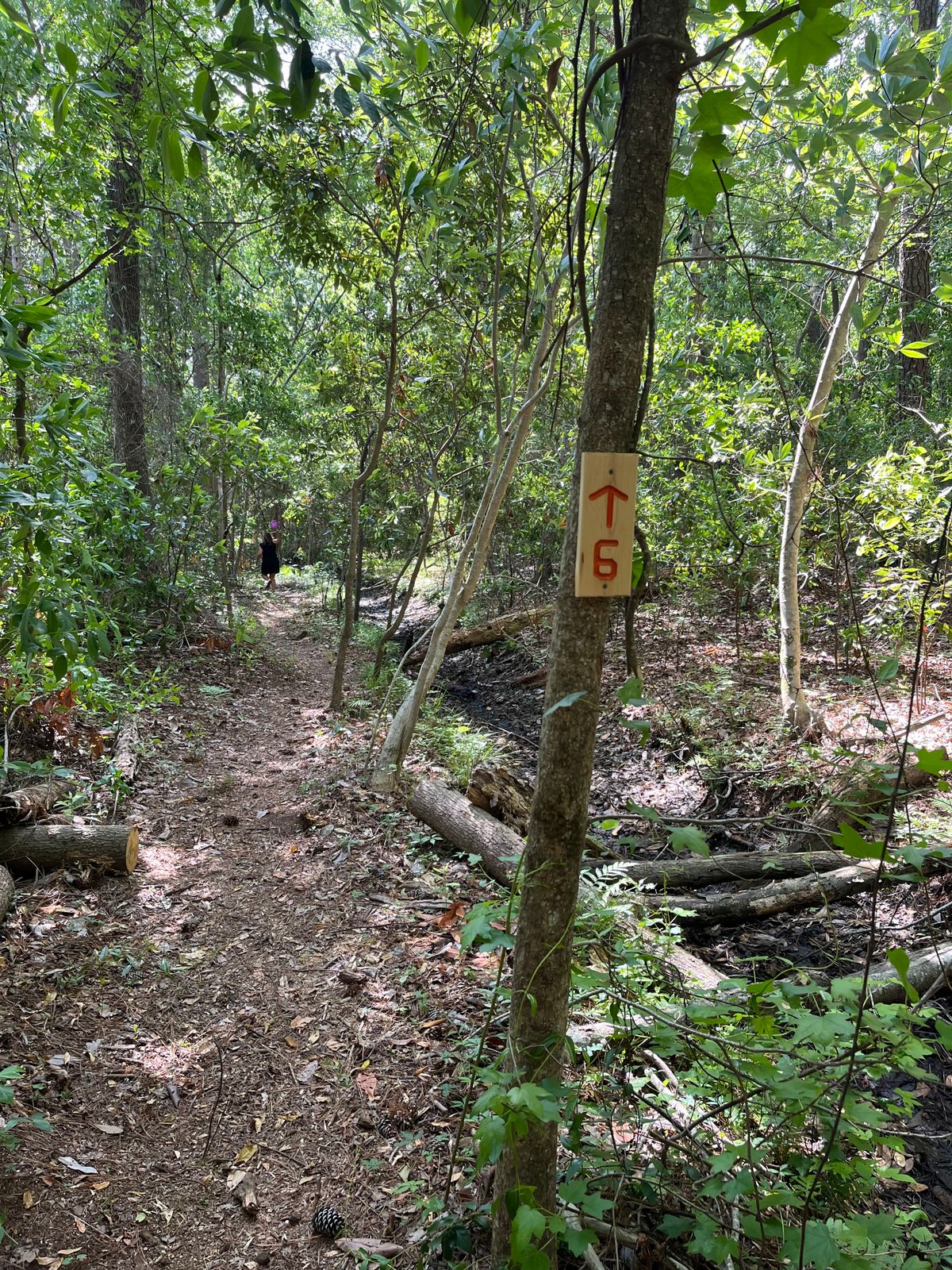 Follow the signs for hole 6. A bit of a walk.