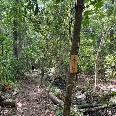 Follow the signs for hole 6. A bit of a walk.