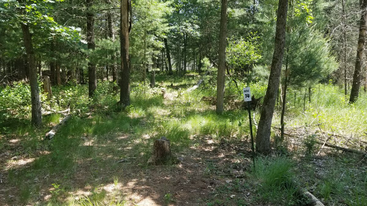 Hole 14 "Bird's Nest" is short, but hard left turn.