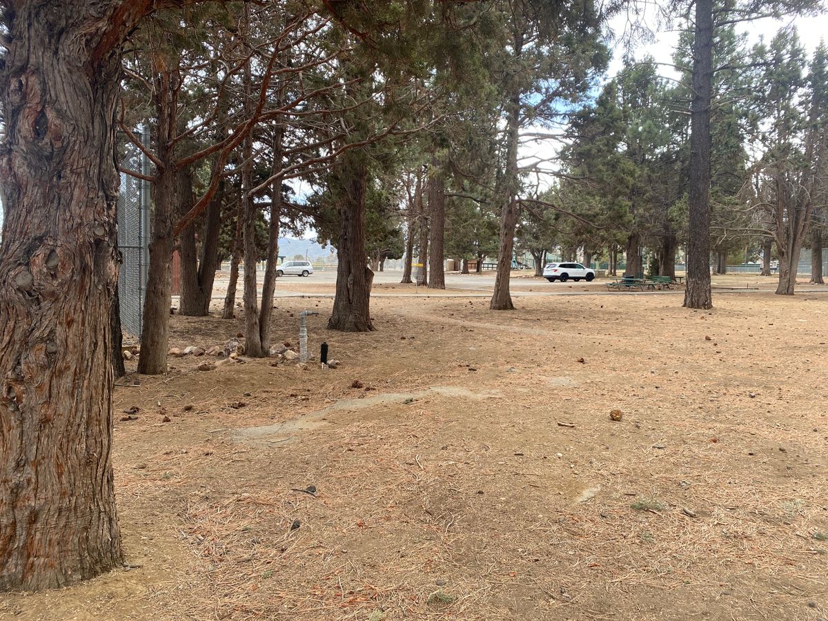 Little Dog Leg hole