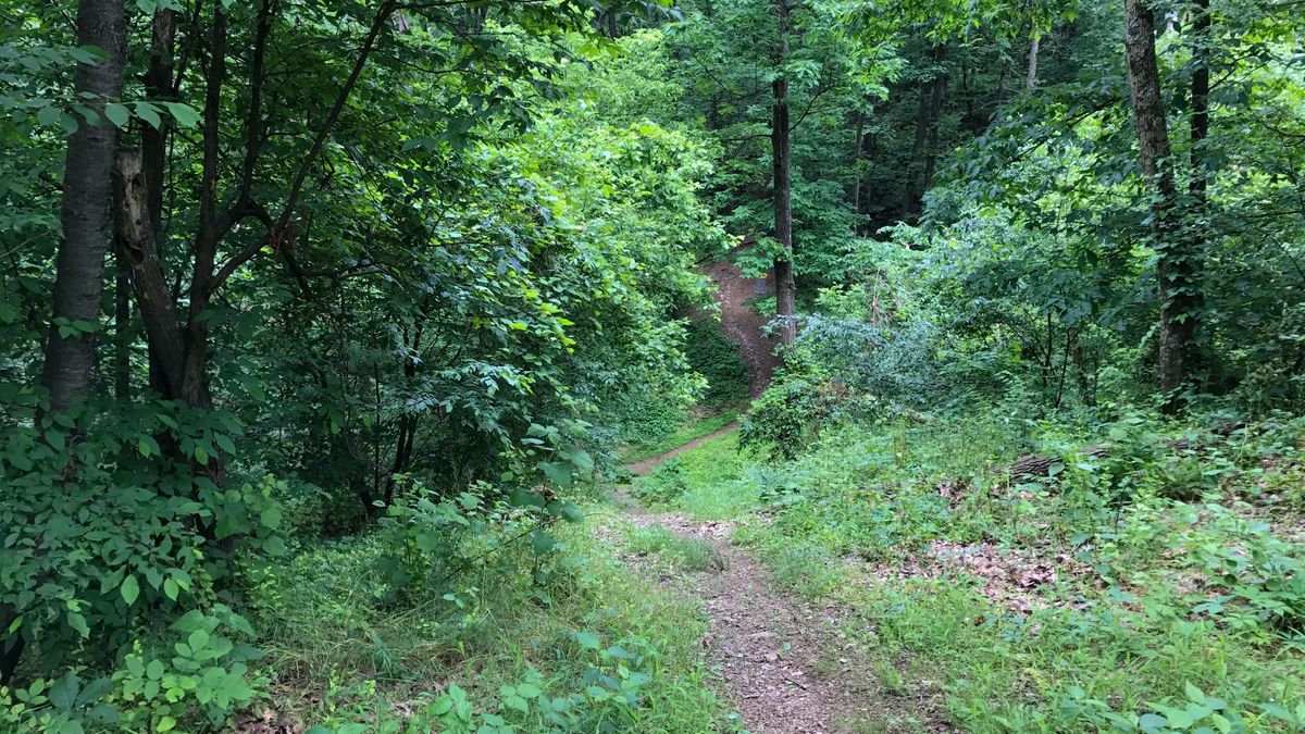Hole 3