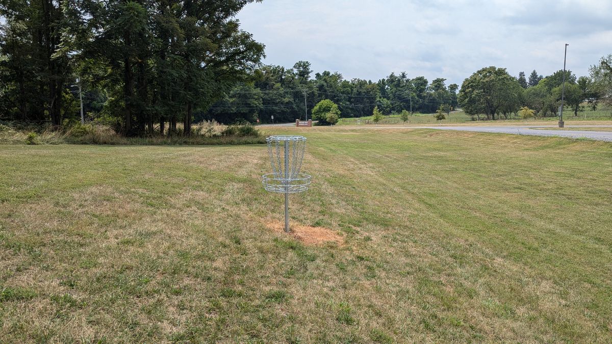 Hole 4 from basket.