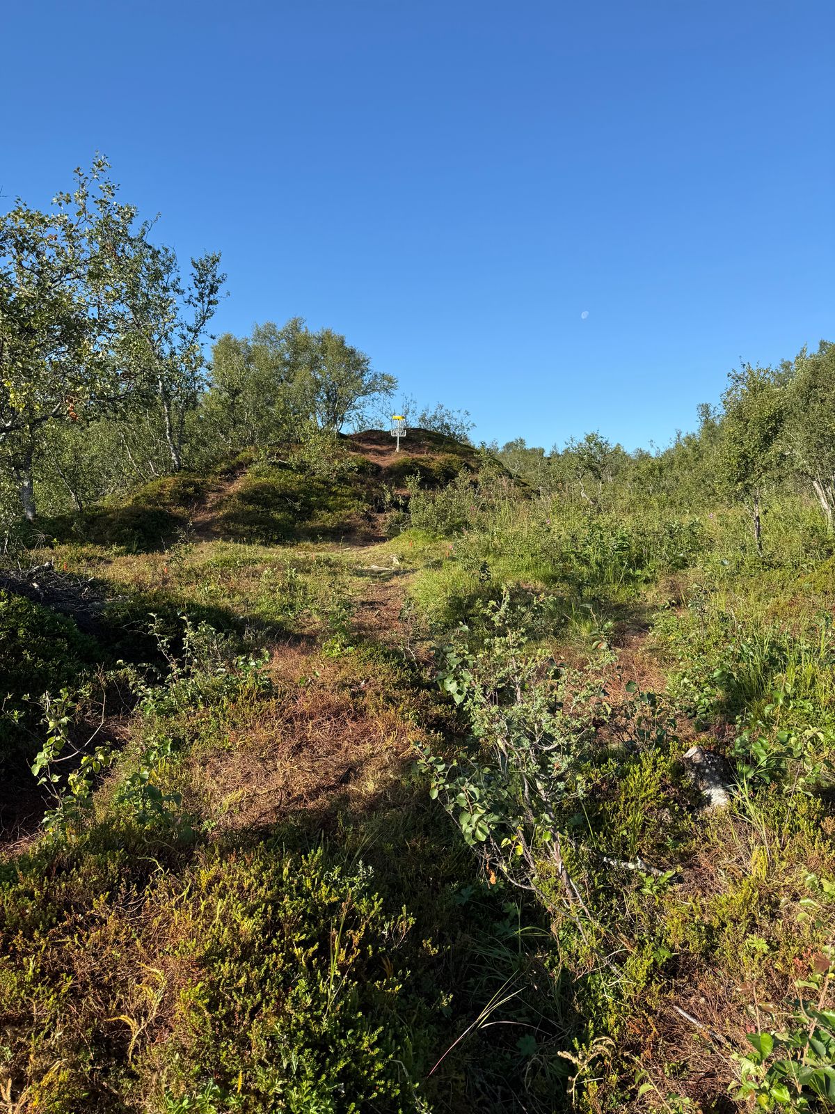 Hole11