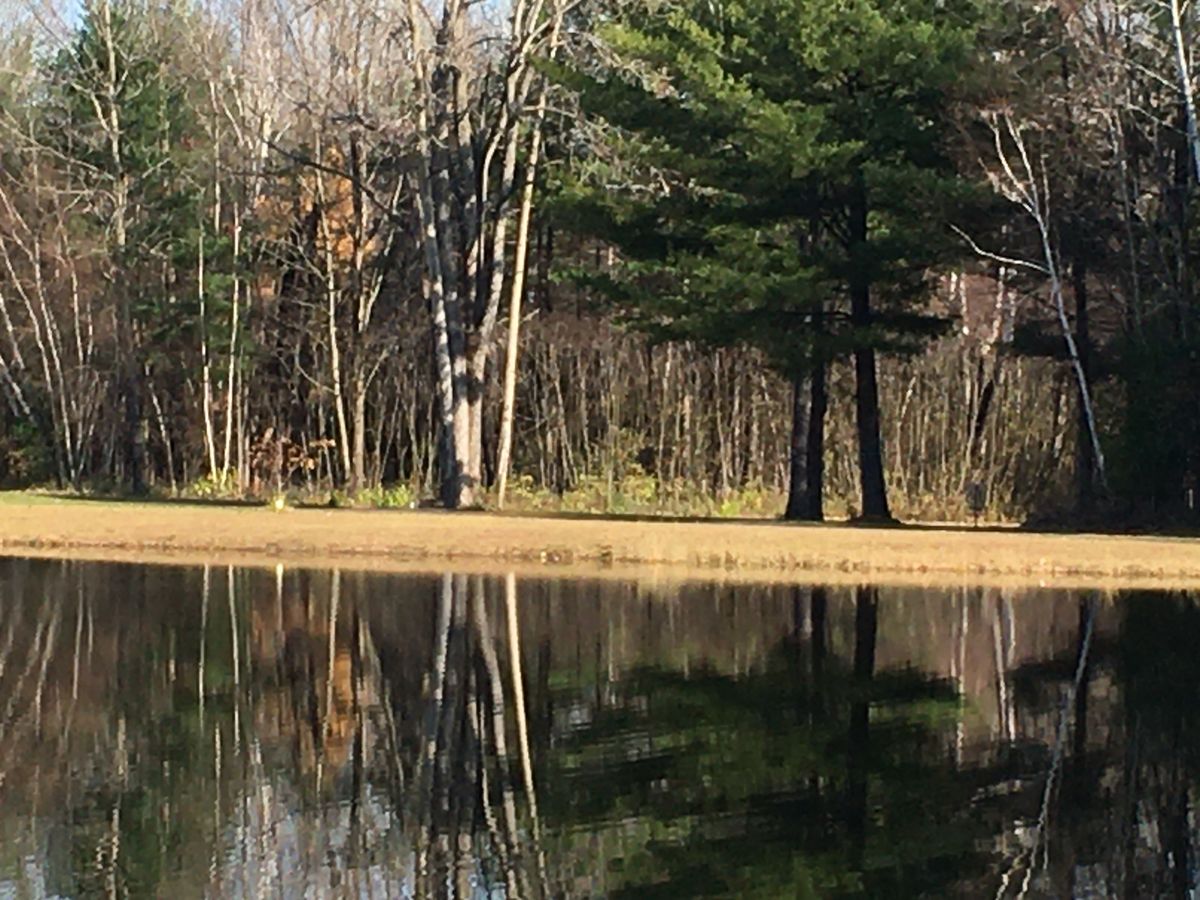 A closer look at hole #2.