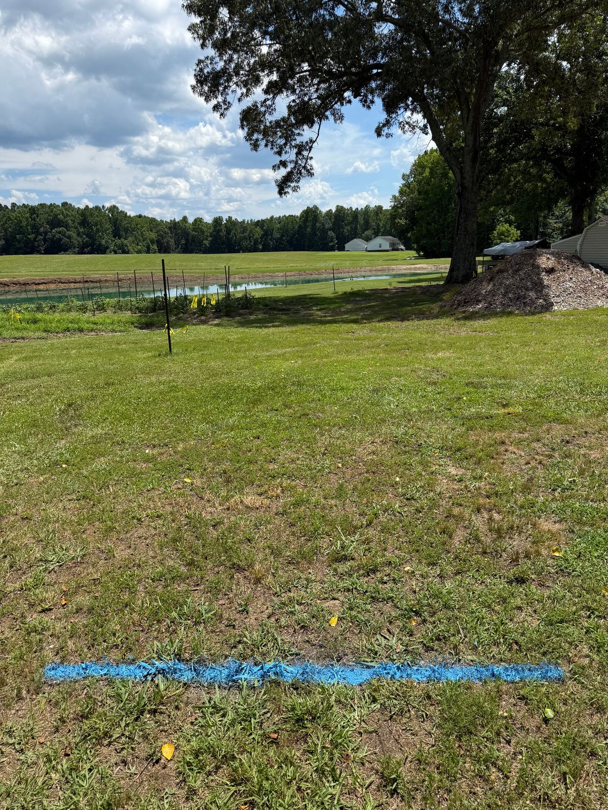 Hole 1 Blue Tee. 