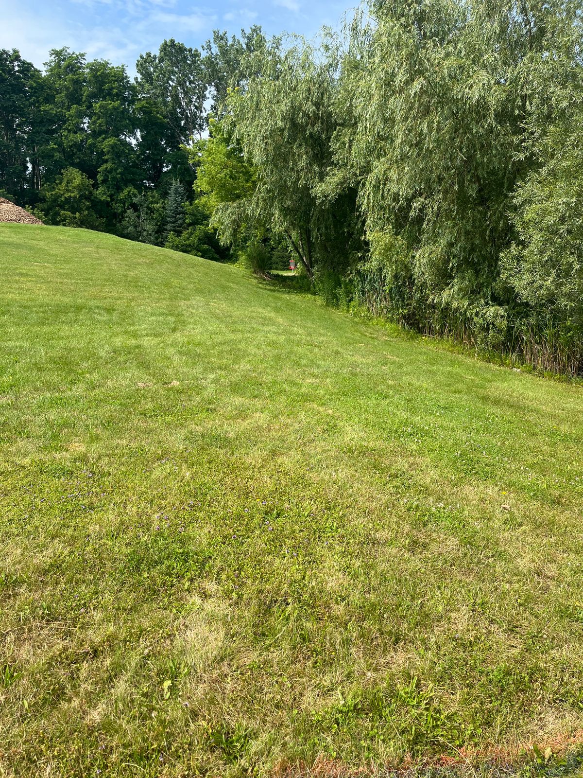 Hole #6 Red Tee