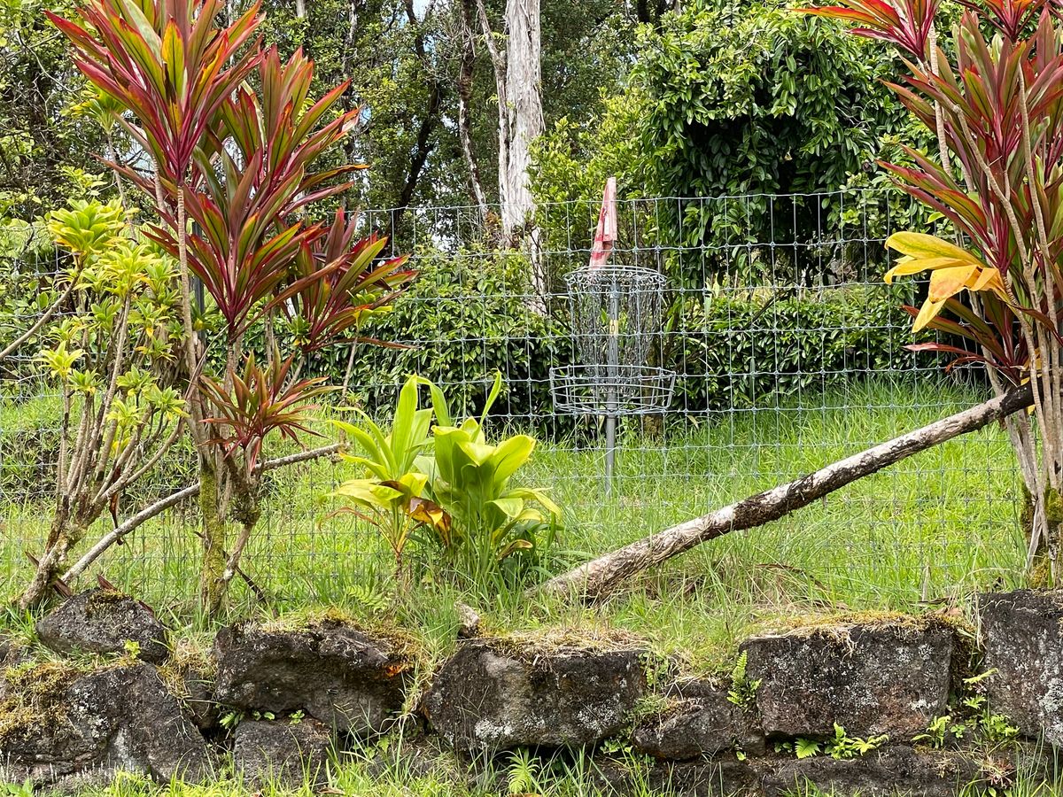 Caged target on no 18
