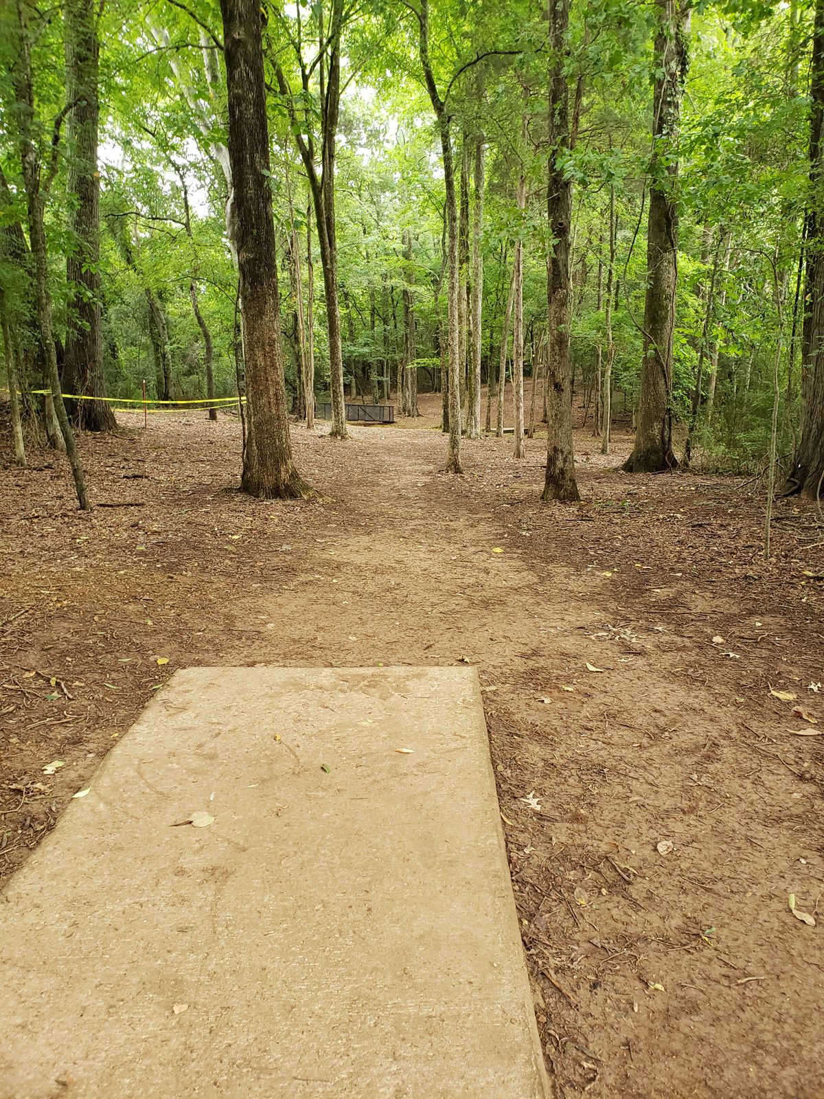 #4 Tee-Pad and Fairway