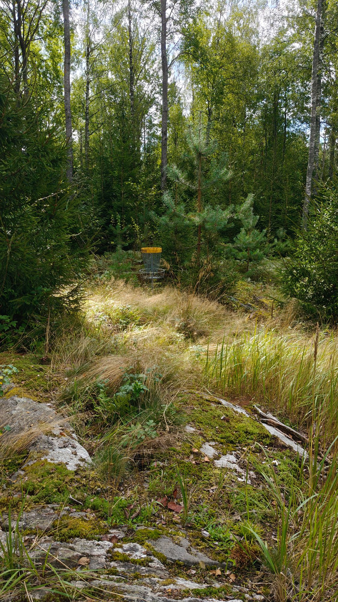 Hole 6 is played to Hole 5 basket.