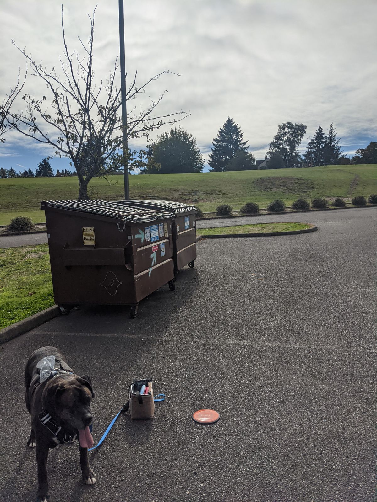 Hole 6
