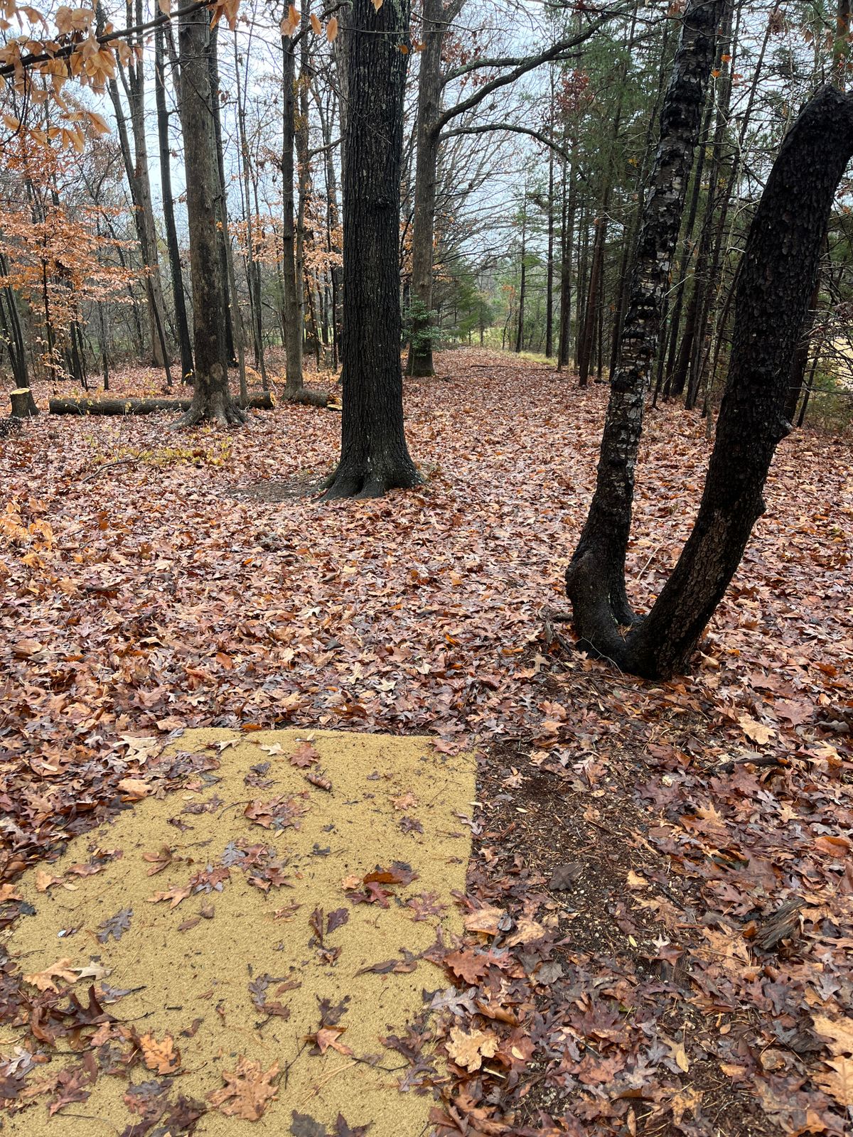Hole 10 tee