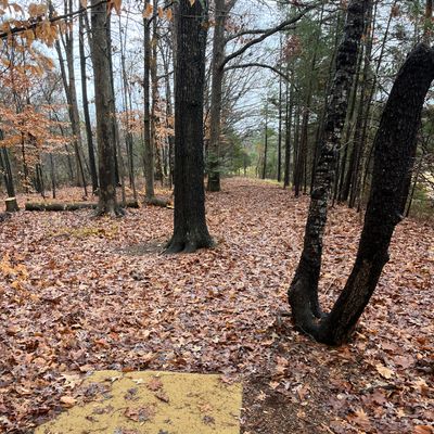 Hole 10 tee