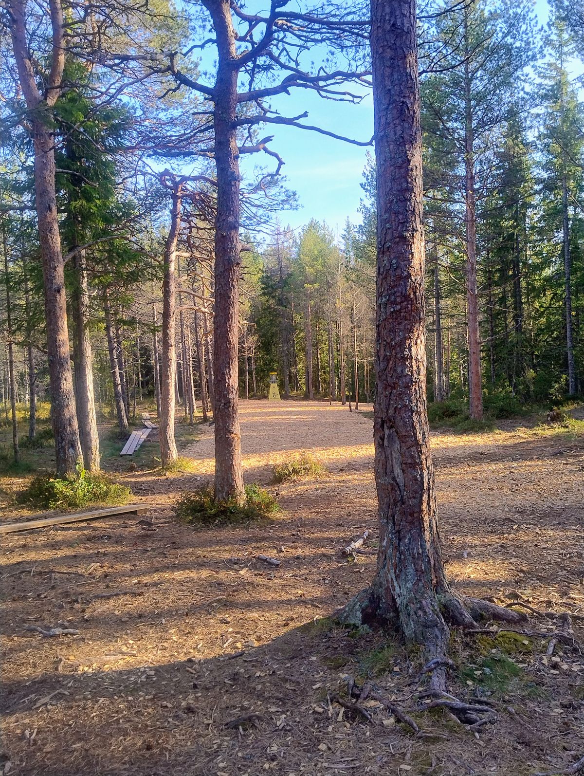 Fairway mot kurv på hull 1
