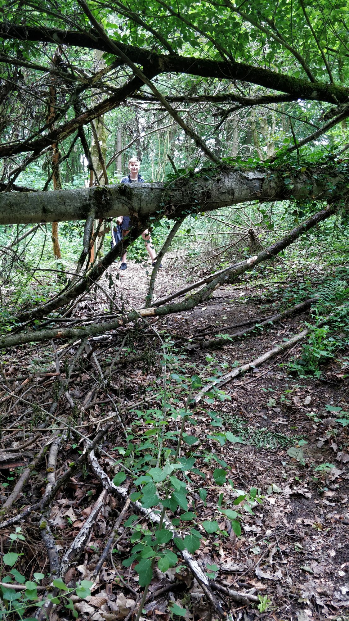 Path to Hole 6