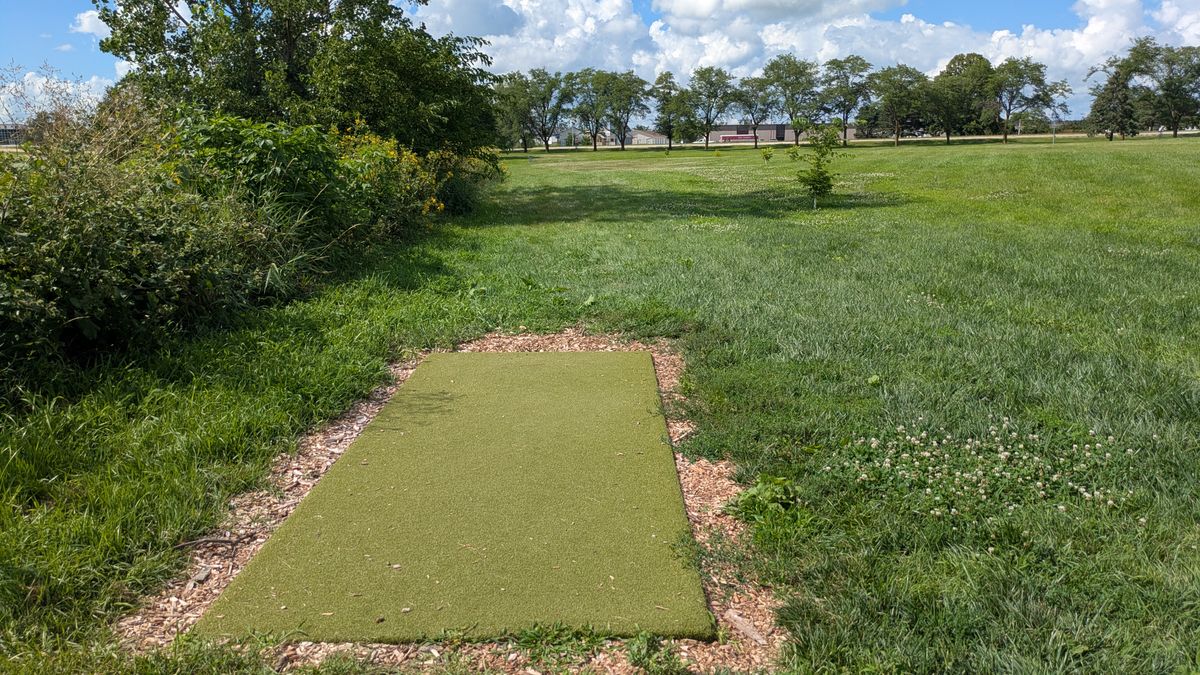 Tee #8