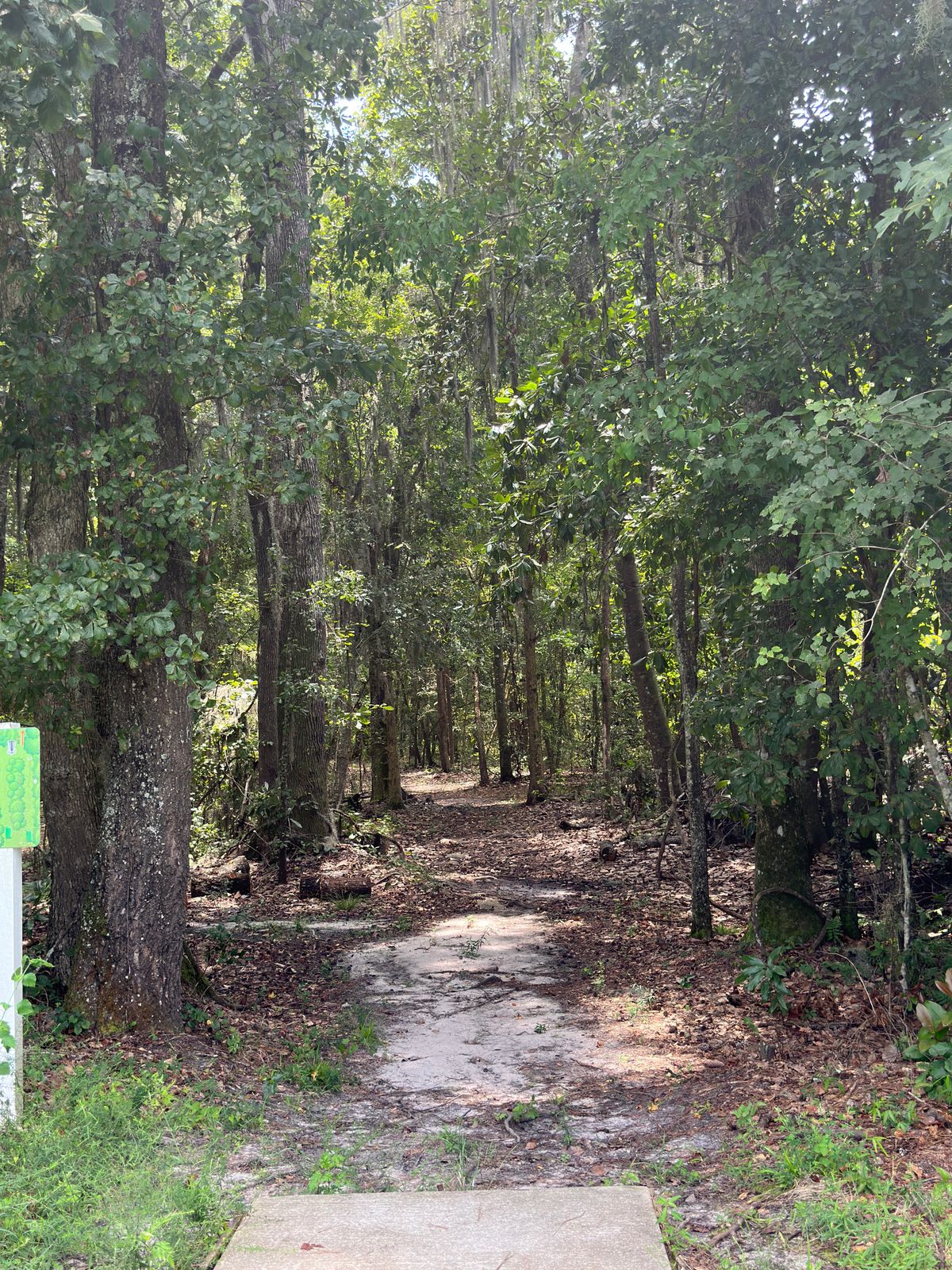Hole 5 is 345’ slow turn to the left then back to the right