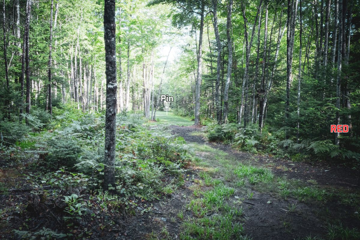 Hole 14 Fairway about 100’ from the Blue Tee.