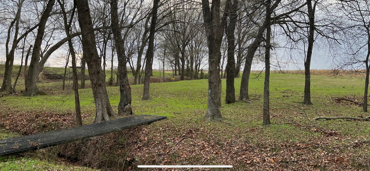 Favorite hole in disc golf