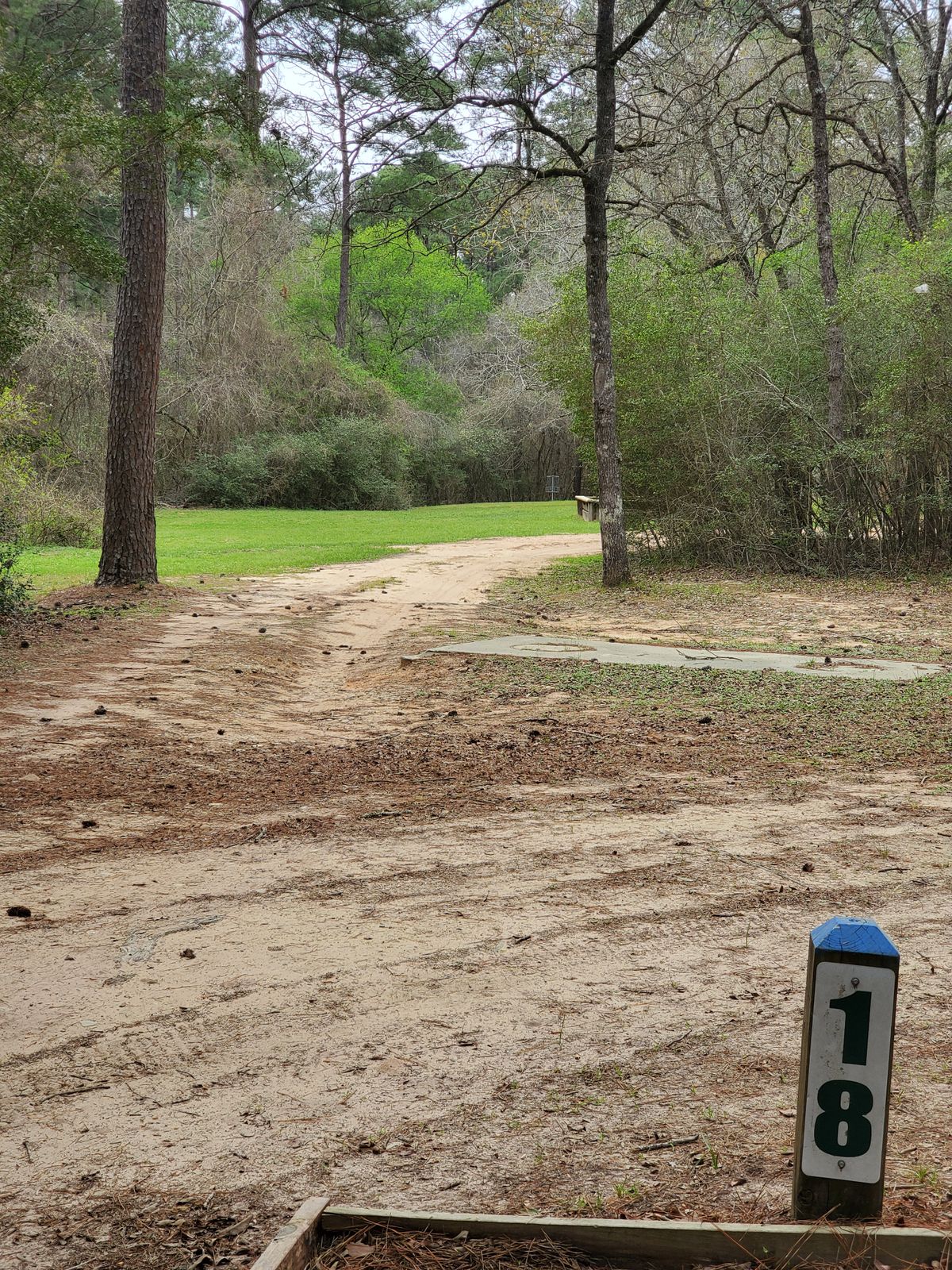 Hole 18 blue tee