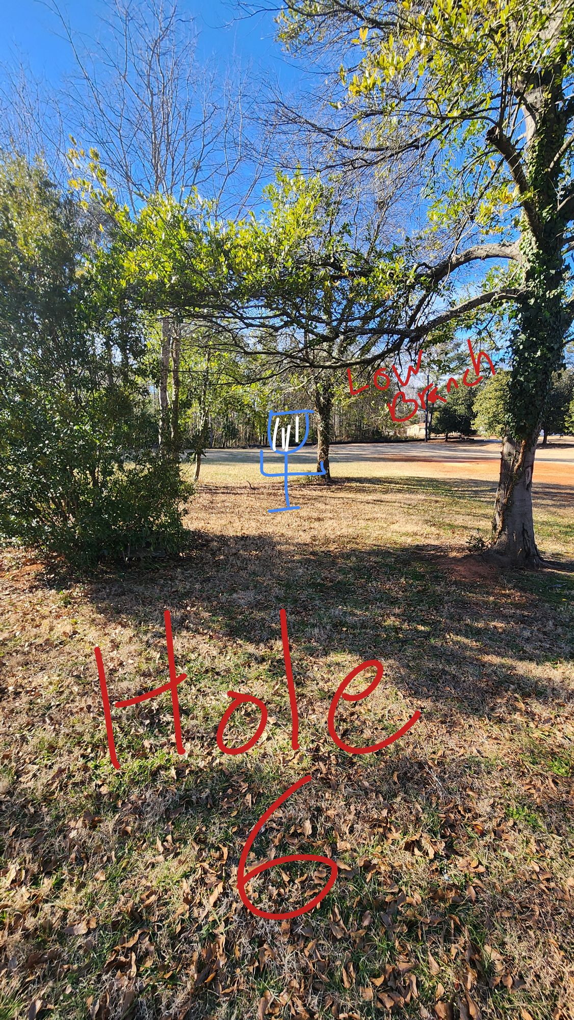 Hole 6 basket. View blocked by Bush on the left. Basket also is covered from above. Only approachable via sides or rear of basket.