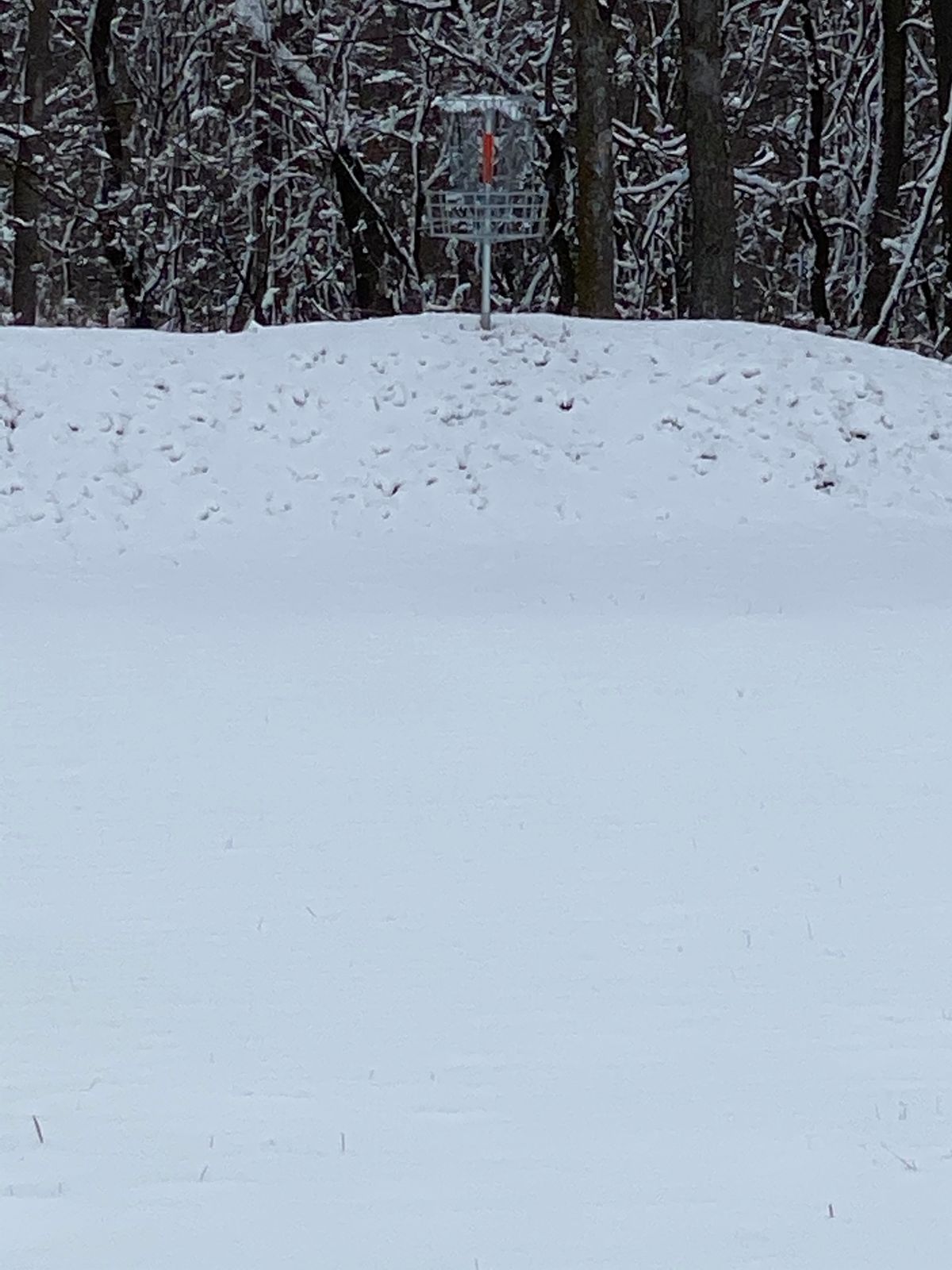 Hole 4