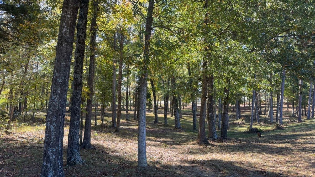 15 landing zone green