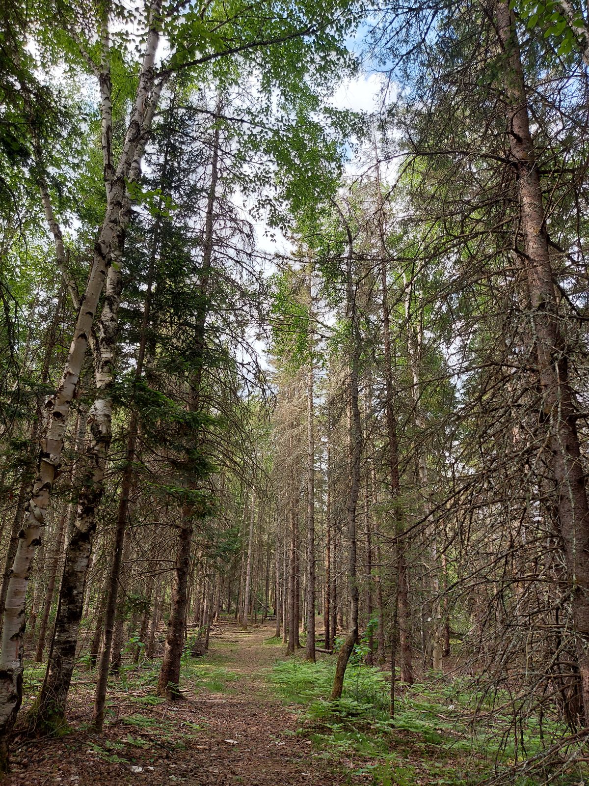 Closer look down fairway 3 🍁🌲🍁🌲🍁🌲