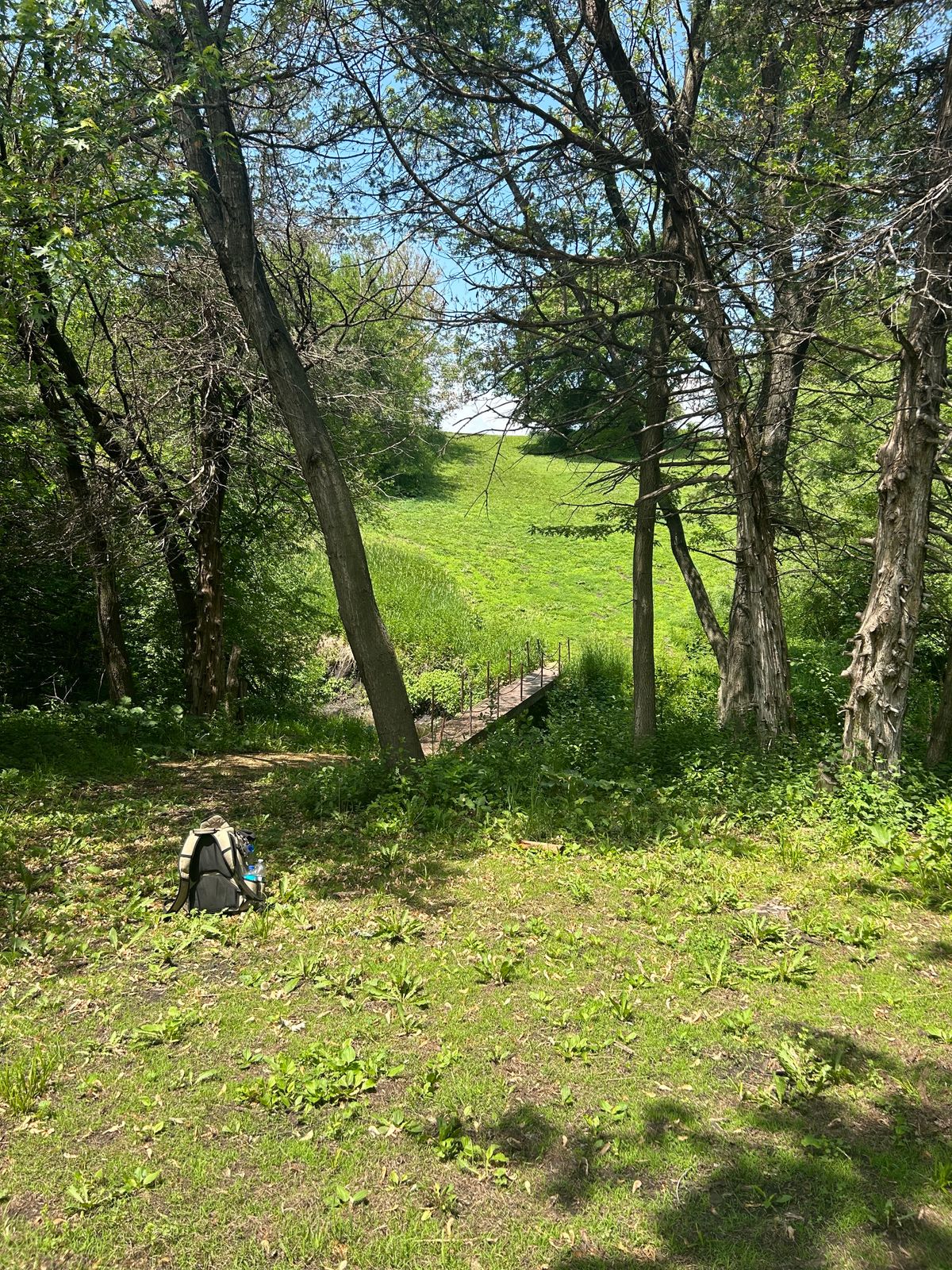 Hole 15