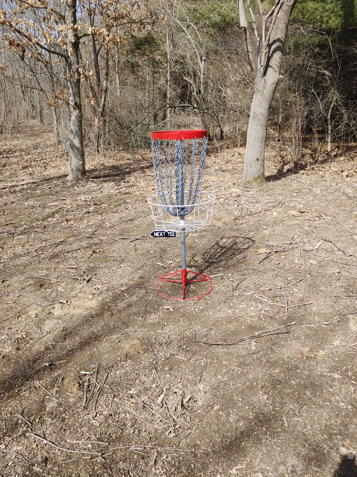 Hole 14 Basket