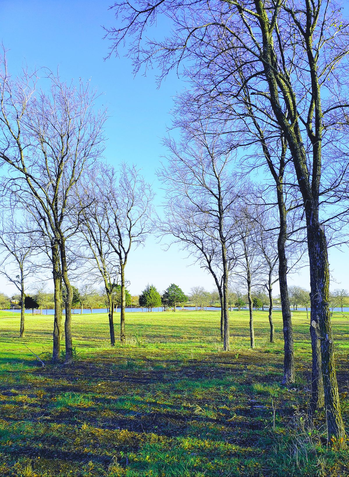 Getting down the wooded fairway opens up for another long throw