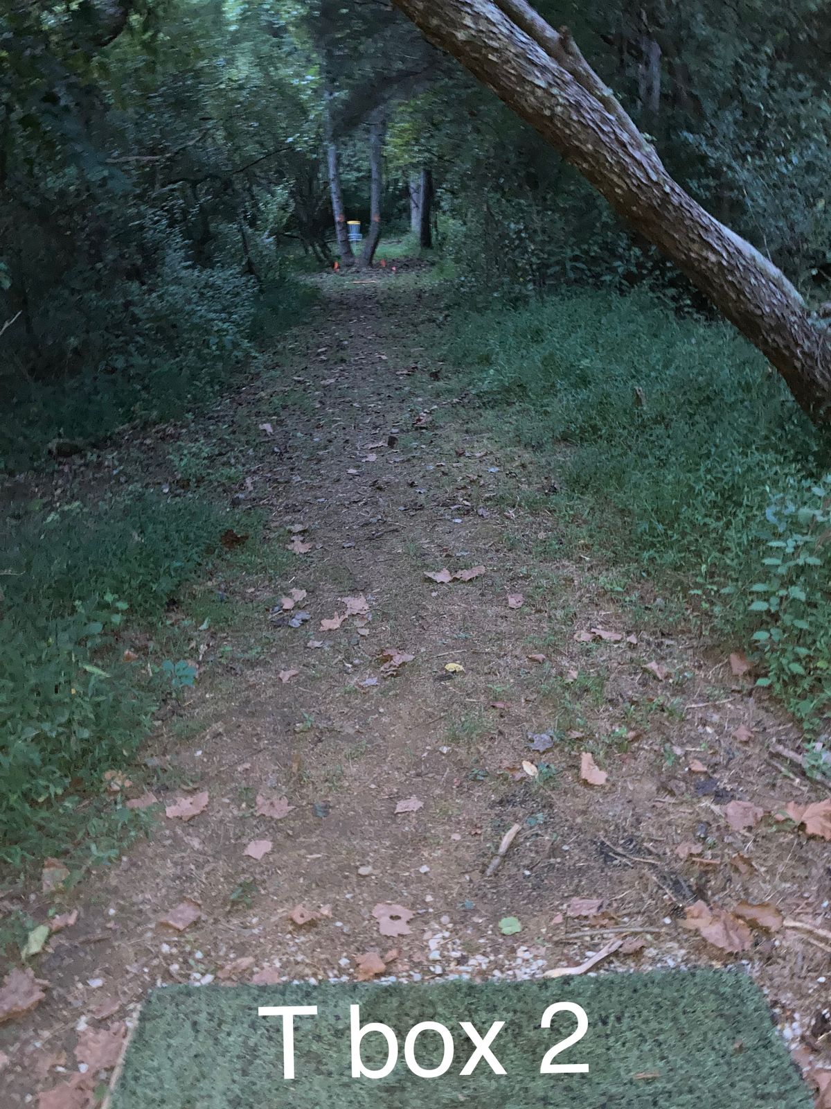 Hole 16