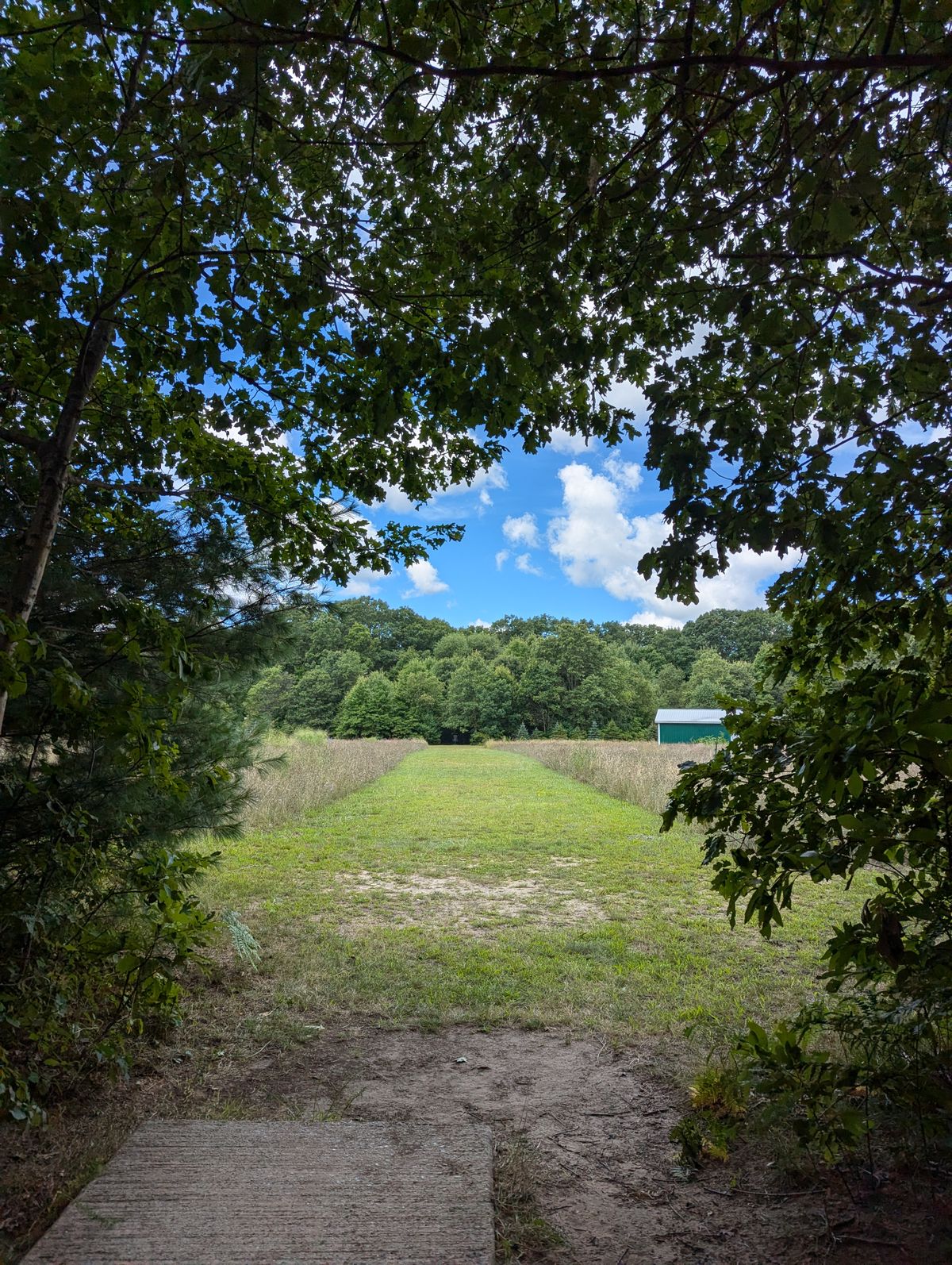 Hole 2 tee pad