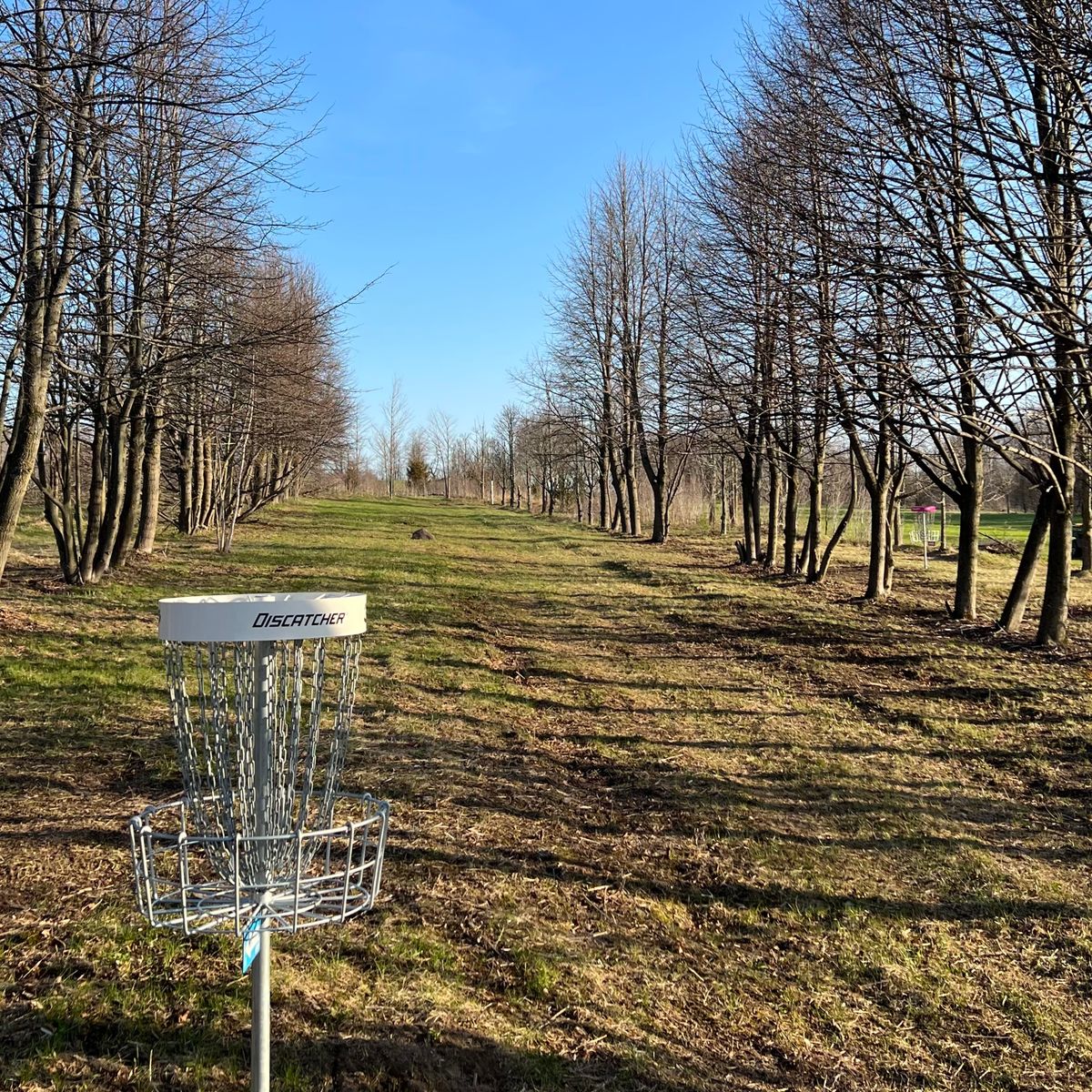 Hole 4 long basket, Throw Pink short basket is to the right in the trees.