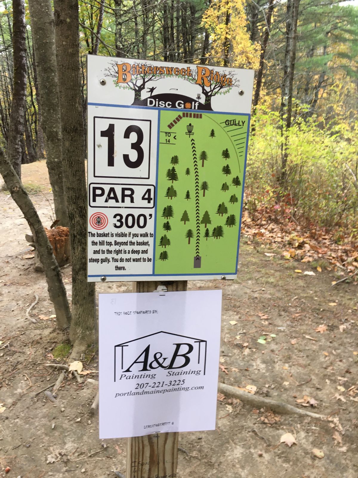 Hole 13- WARNING ⚠️ DO NOT THROW LONG!