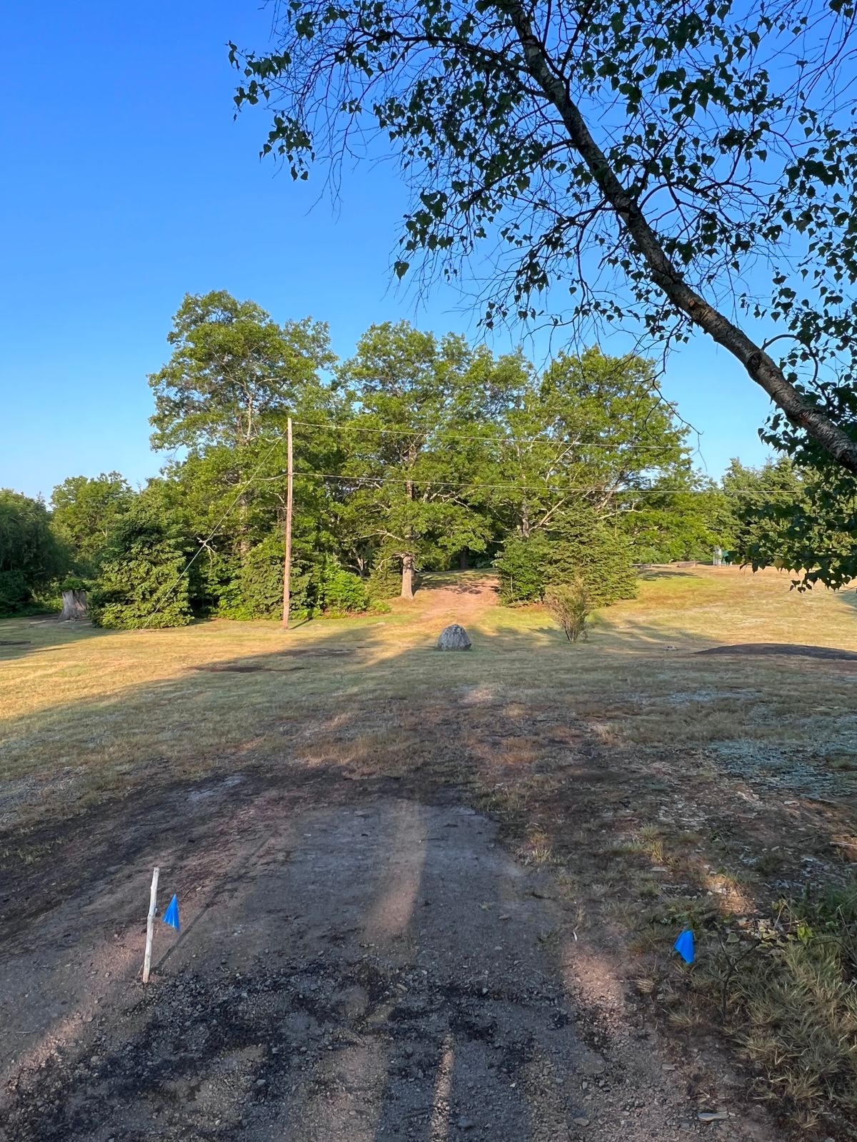 Tee 7
