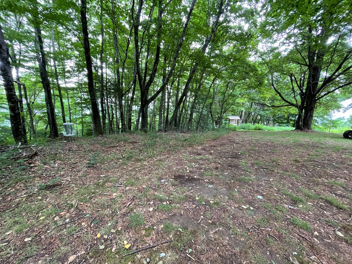 Hole 5 landing area and green