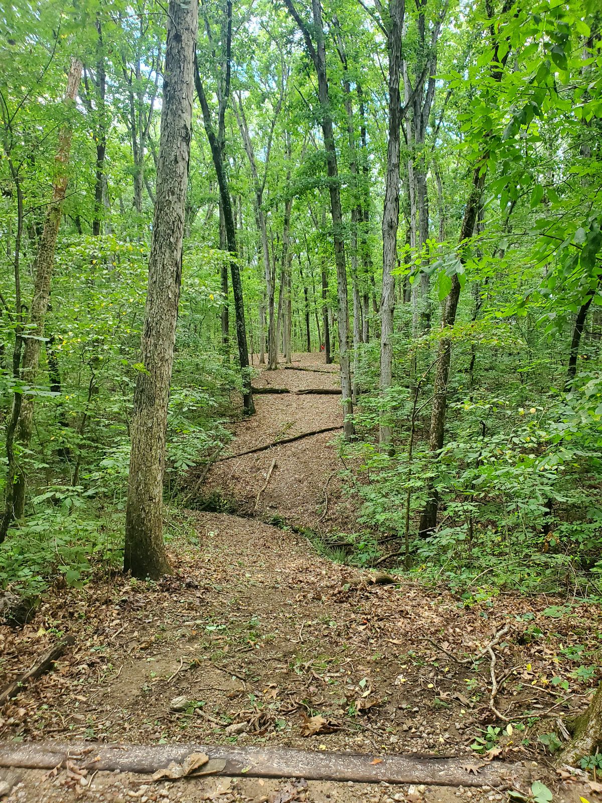Hole 14
