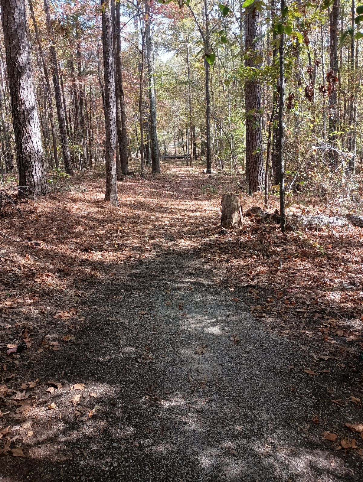 Hole 1