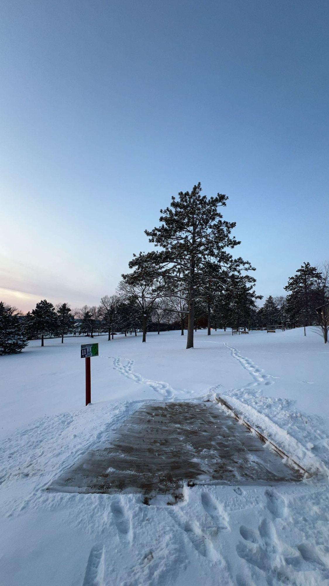 Hole 11 12/20/2024