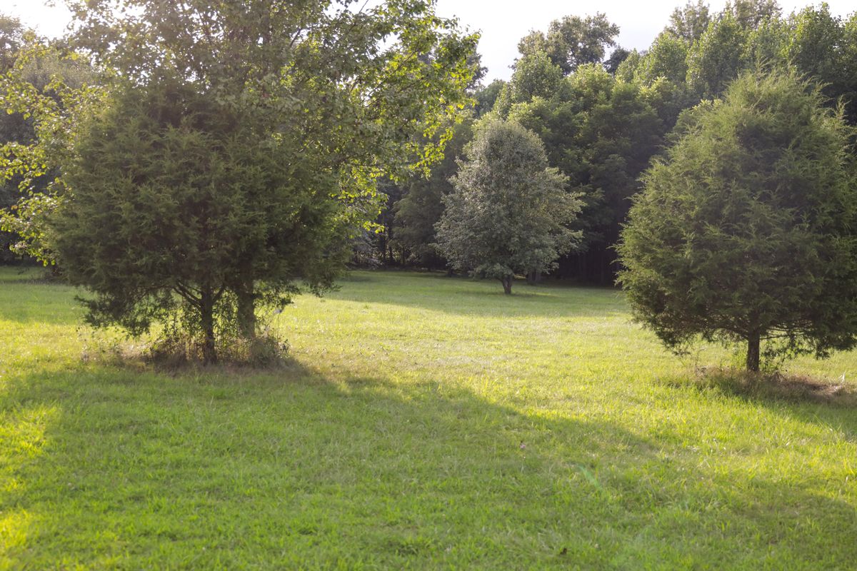 Hole 10 - short tee